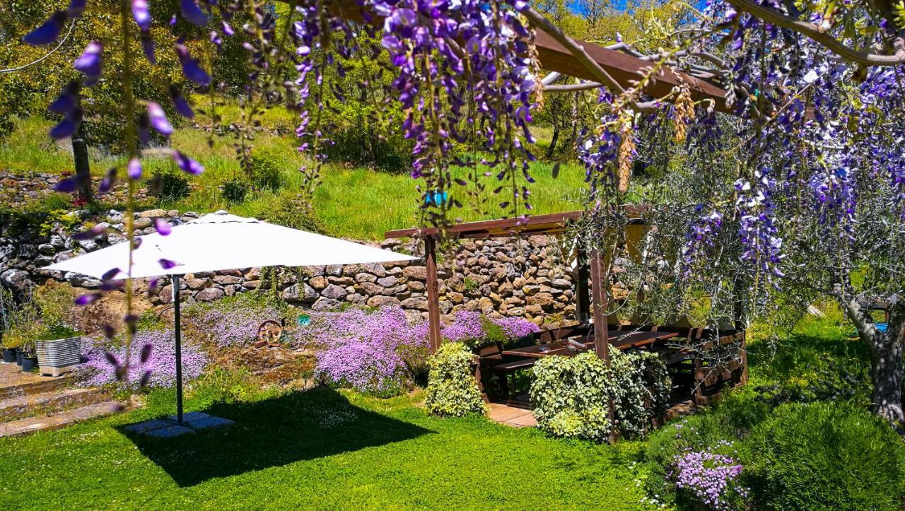 سوريانو نيل تشيمينو Podere Pontepietra المظهر الخارجي الصورة