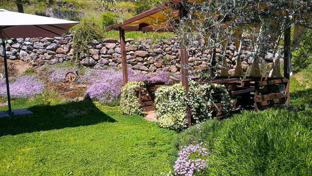سوريانو نيل تشيمينو Podere Pontepietra المظهر الخارجي الصورة